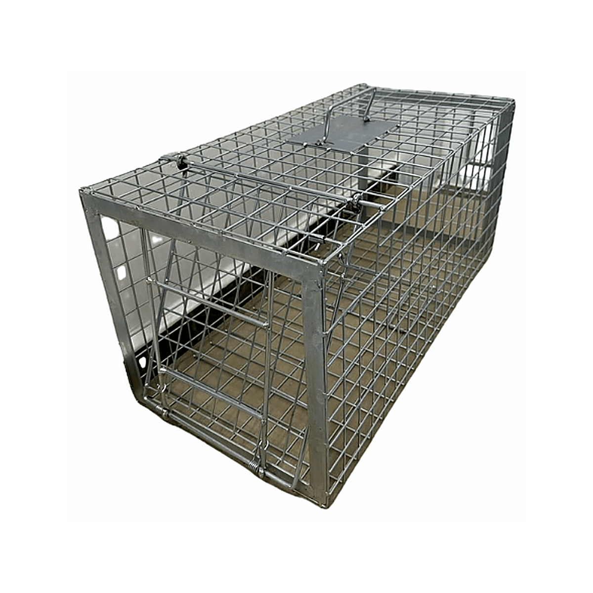 Kedi Yakalama Kafesi